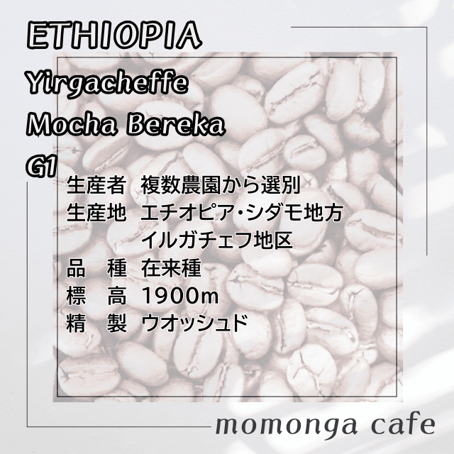 チオピアイルガチェフモカ・ベレカG１100g | 2枚目
