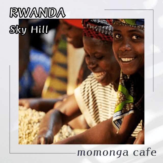 ルワンダスカイヒルウォッシュド100g