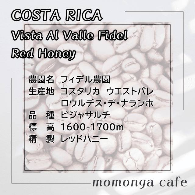 コスタリカ ドン・オスカル エル･ポトレロ農園･ﾚｯﾄﾞﾊﾆｰ 100g | 2枚目