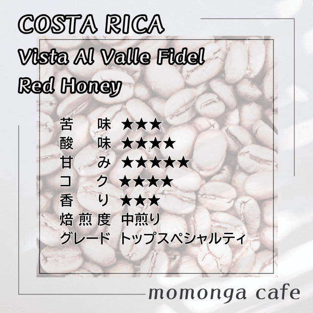 コスタリカ ドン・オスカル エル･ポトレロ農園･ﾚｯﾄﾞﾊﾆｰ 100g | 3枚目