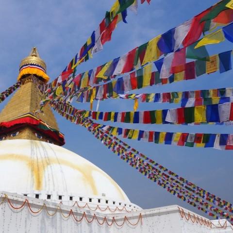 ネパール カトマンズゴールド/オーガニック 100g | 4枚目