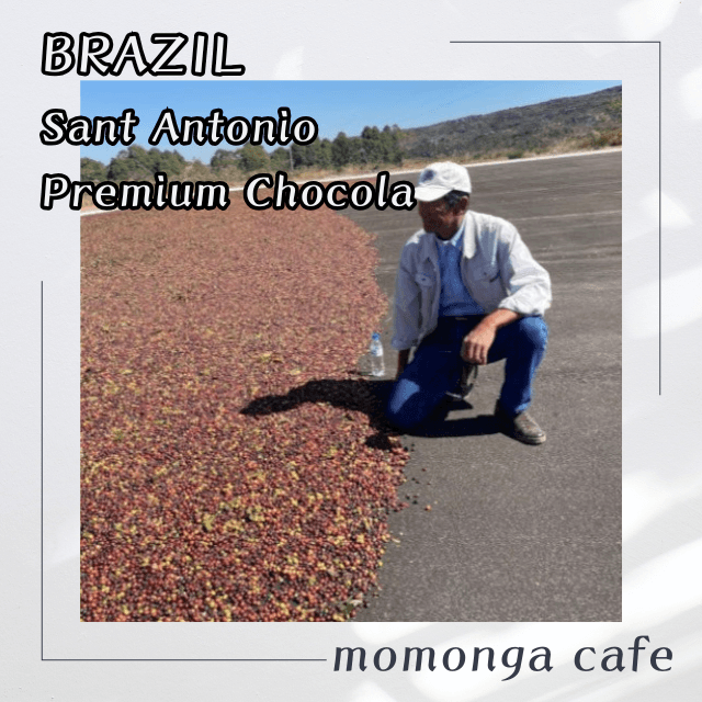 ブラジルサントアントニオプレミアムショコラ100g