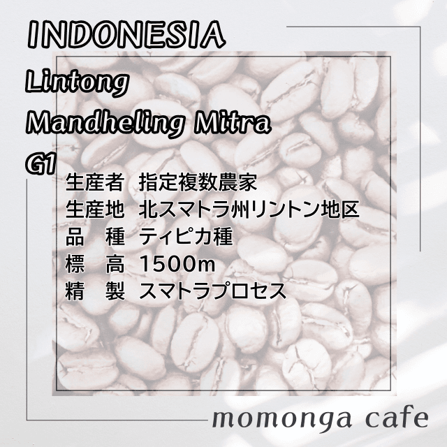 インドネシアリントン地区マンデリン・ミトラG1100g | 2枚目