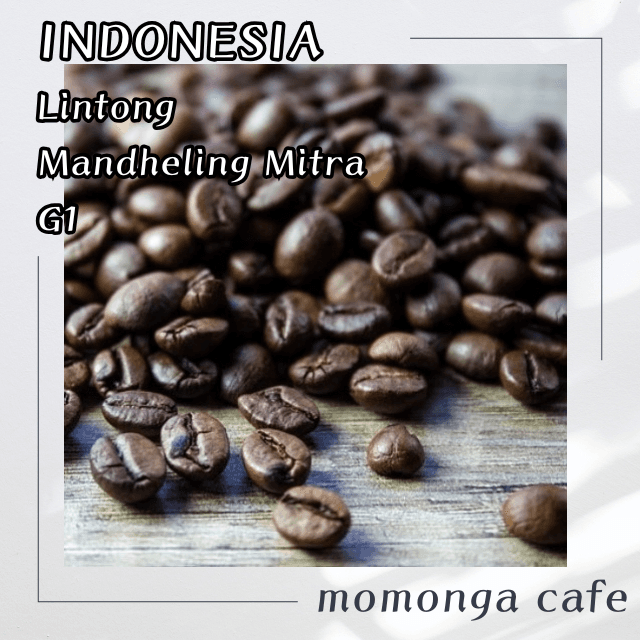 インドネシアリントン地区マンデリン・ミトラG1100g