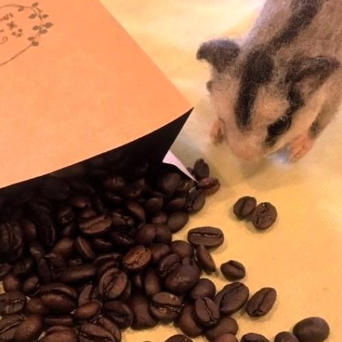 SpecialtyCoffee 店長お任せ3種類 飲み比べセット | 3枚目