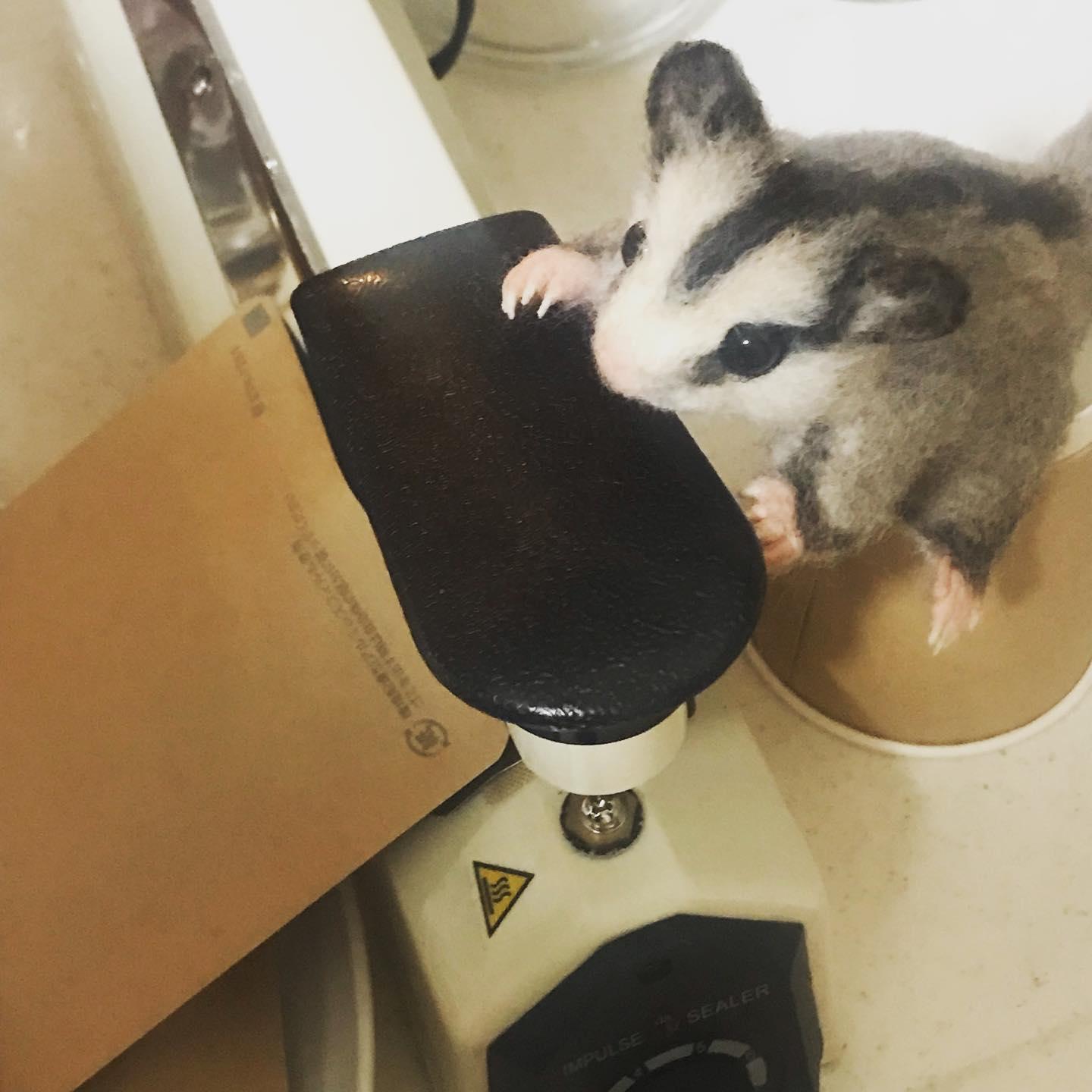 DripBag6種類飲み比べセット | 5枚目