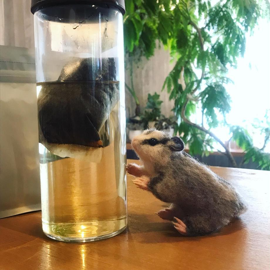 アイスコーヒー専用☆彡水出しコーヒー用ドリップバッグ | 3枚目