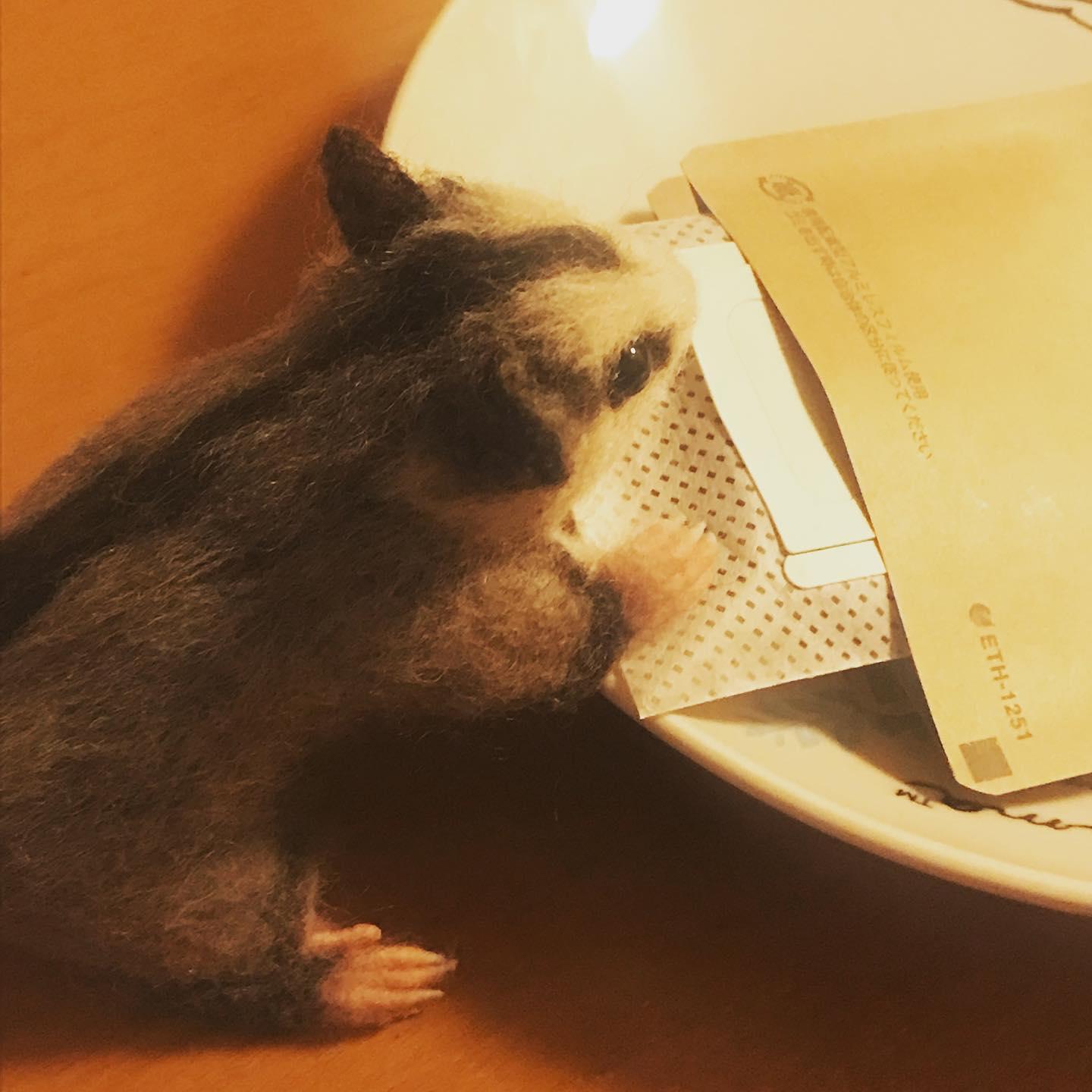 DripBag 大容量BOX | 5枚目